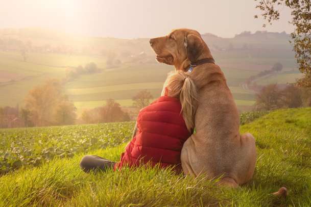 dog and girl in field